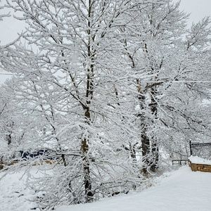 Meet your Posher, Desiree